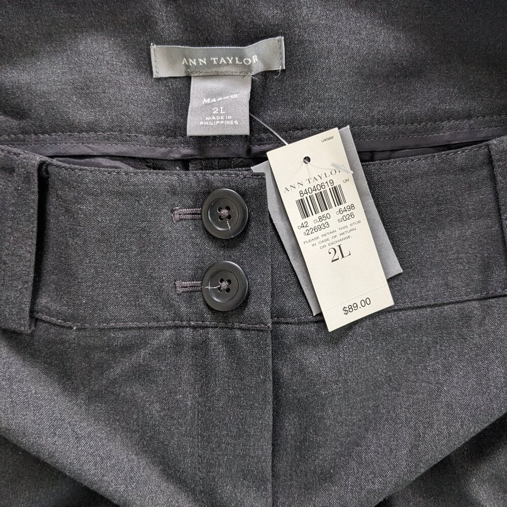 Ann Taylor Trousers Gray Size 2 L